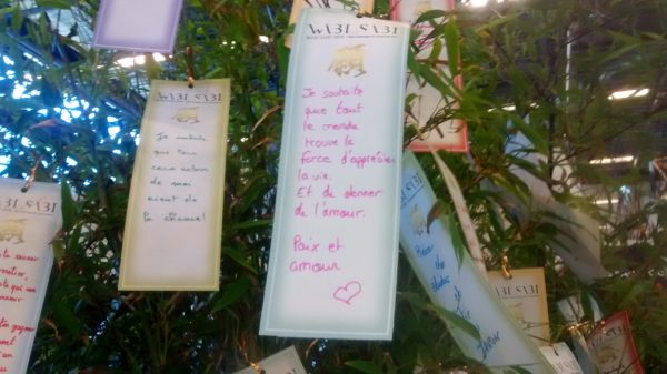 Les messages mignons et plein d'espoir sur les arbres de Tanabata <3