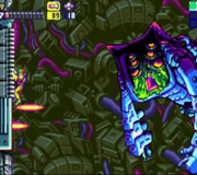 243