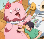 781