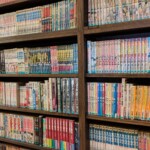 Une des mutiples bibliothèques du musée