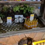 Une manière originale de présenter ses boissons