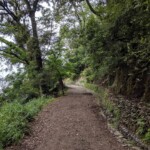 Chemin typique de la montée