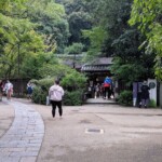 Reina est passée par là !