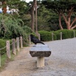 Bah dis donc mon gars