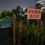 Chemin un peu flippant de nuit