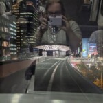 Moi dans le monorail, essayant de prendre des tofs