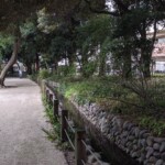 Promenade autour du parc Shinjuku