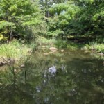 J'aime beaucoup les points d'eau