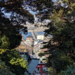 Rue commerçante vue à travers les arbres