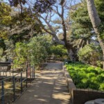 Le jardin botanique doit être trop cool au printemps
