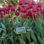 Laissez moi oublier Paris quelques jours....