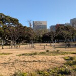Le Parc Yamashita, en hiver