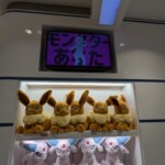 Du Nayutalien dans mon Pokémon ?