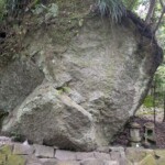 Le fond du jardin est plus sauvage mais assez chouette