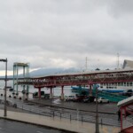 Sakurajima timide bon matin