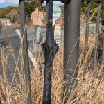 Parapluie oublié, une habitude japonaise