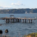 N'en jetée plus la coupe est pleine 😉