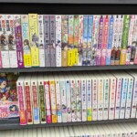 Rayon de light novel