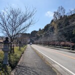 La montée vers le musée de Chiran