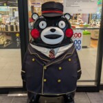 Vos papiers s'il vous plaît