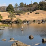 Oiseau très chill (il a pas bougé de son rocher pendant toute l'heure)