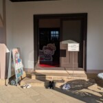 Kitty est cachée dans l'ombre, prête à te sacrifier aux dieux