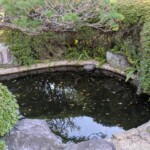 Ptite mare, mes grands-parents avaient la même