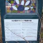 Le bowling est apparu au Japon à Nagasaki et ils en sont très fiers !