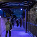 Couloir de lumière pour accueillir les visiteurs