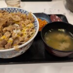 Mon gyudon bien lourd