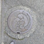 Bouche d'égout thématique poisson sympa