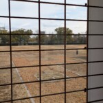 Démarcation de végétation pour essayer de représenter la présence des anciens bâtiments