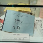 Programme du championnat de ballon de 1989 - j'avais 6 mois !