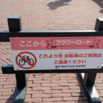 Imagine tu fais un parc thématisé hollandais et t'as des zones INTERDITES AUX VELOS. Blasphème !