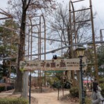 Gens qui font les idiots à 20km/h au milieu des arbres