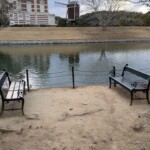 Ca aurait été un super coin où se poser si le vent voulait pas me tuer