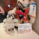 Je suis japonais je suis japonais, ours du soleil levant kumarigato