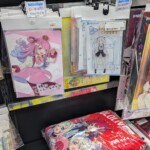 Du Hololive à Book Off