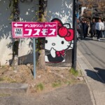 Cachée, prête à te kidnapper...