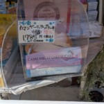 Le cheescake au camembert j'ai HESITE mais 1785 yens ça fait cher le délire