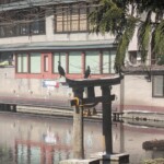 Oiseau se reposant sur le torii