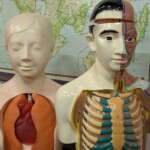 Un des 7 mystères de l'école.....