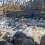 Envie de boire le Calpis interdit