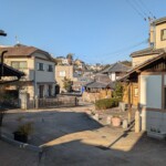 Pas un chat, dans tous les sens du terme