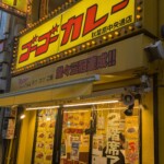 Le Go Go Curry flamboyant d'Akiba 🙏