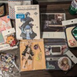 Mes achats de ce jour, doucement mais sûrement