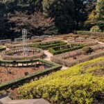 Le jardin des roses du Kyu-Furukawa, ici pas à son avantage