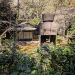 Là ça fait plus Higurashi que Umineko...