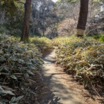 En été les insectes ça doit être un DELIRE