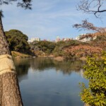 Certaines photos font croire qu'il est 18h avec soleil couchant alors qu'il est que 14h
